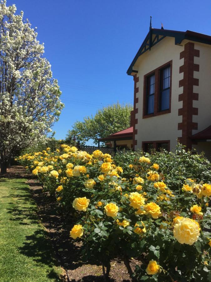 Wine And Roses Bed And Breakfast Adelaide Exterior foto