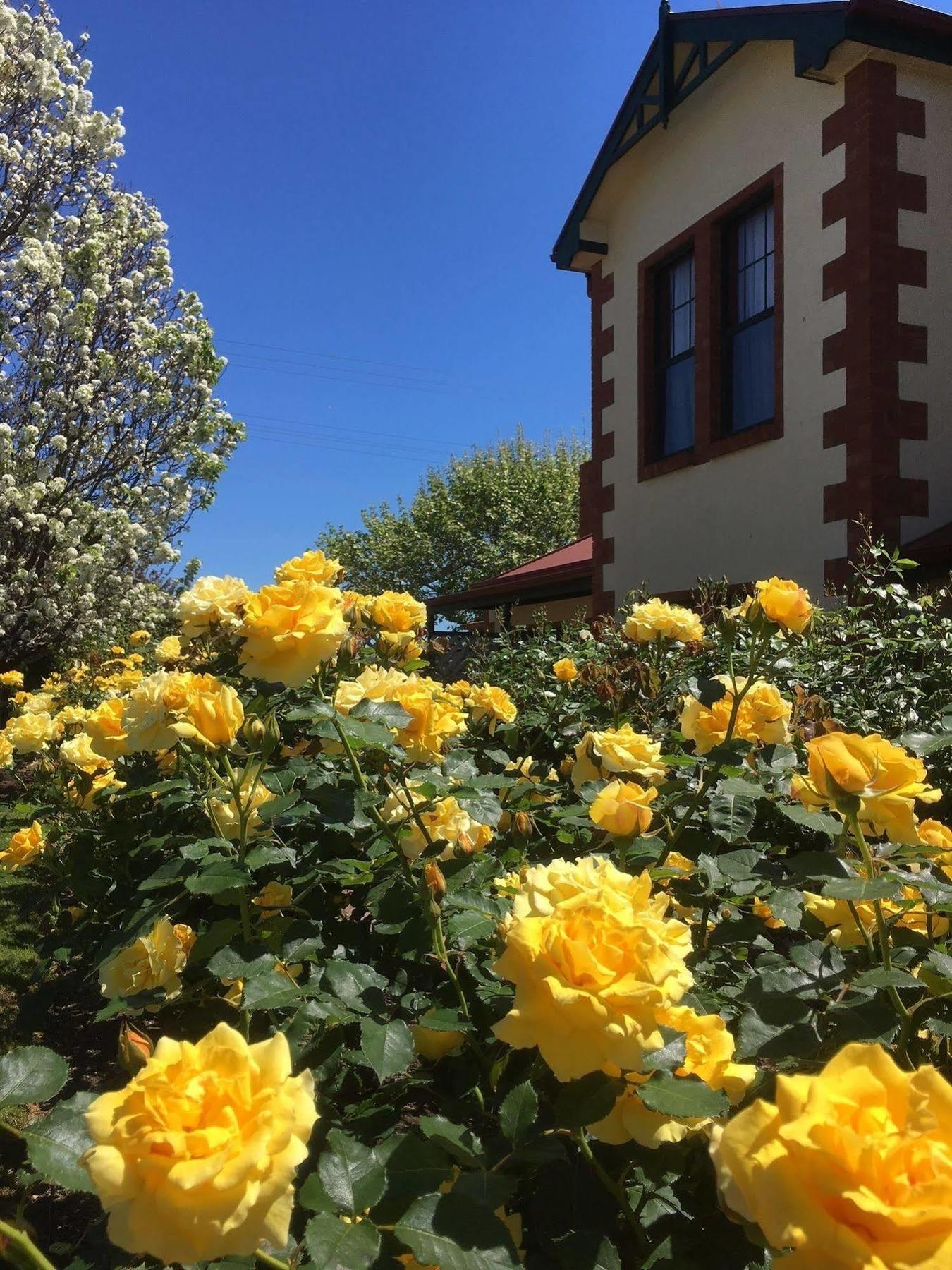 Wine And Roses Bed And Breakfast Adelaide Exterior foto